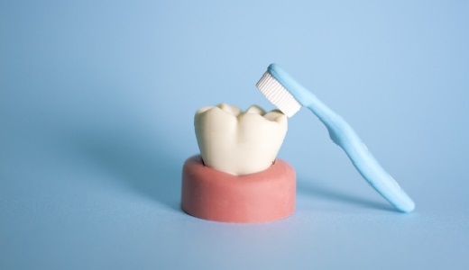 歯の寿命と歯磨きについて